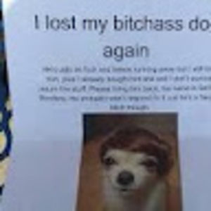 Meet your Posher, Regina